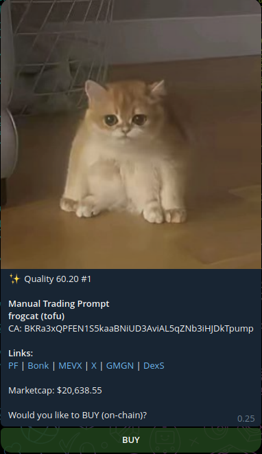 Trenchie tweet media