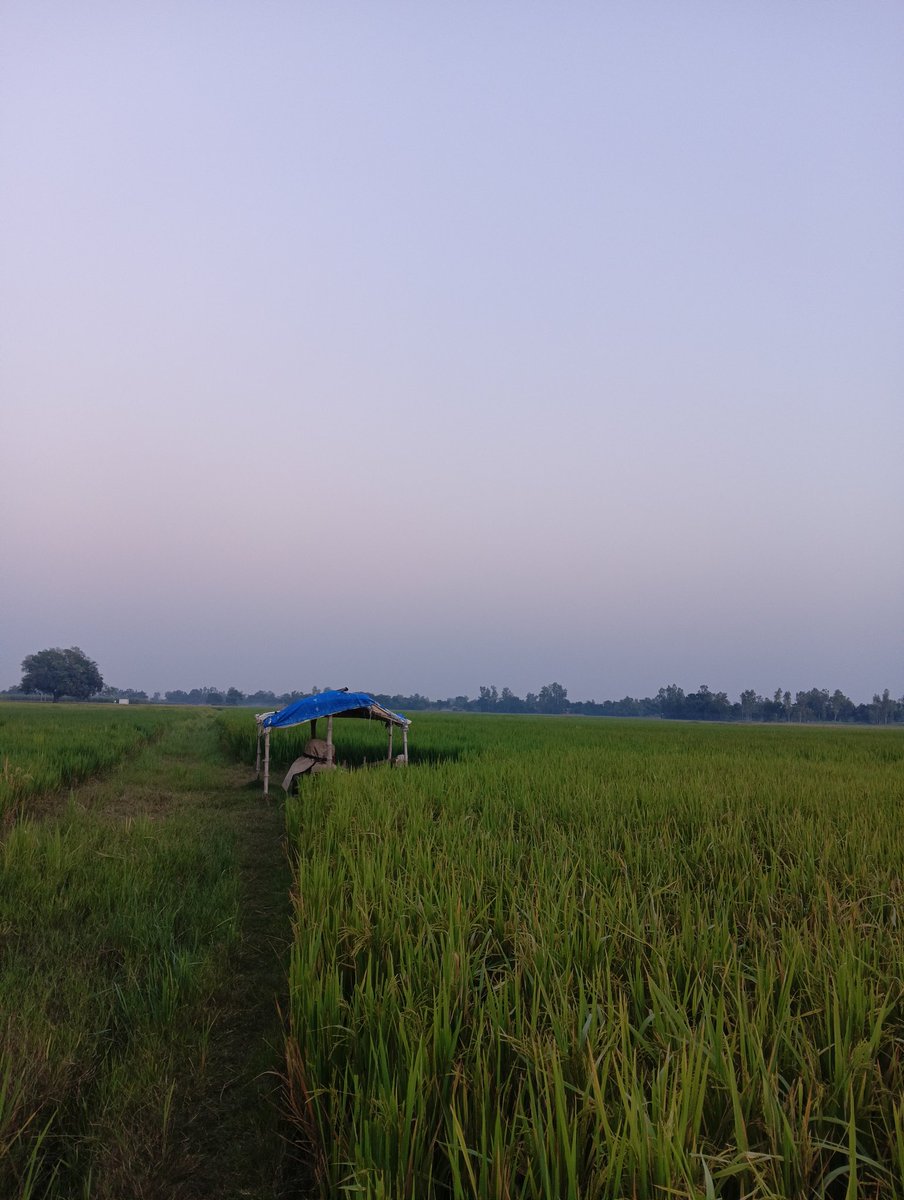 saurabh4u_'s tweet image. घर 🏡 गांव 🌾
सुख यही है 😊 
बाकी सब मिथ्या 💭
#Lorpur #saurabh4u