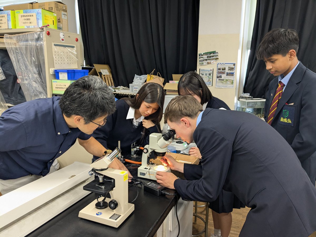 Ms Jestico tweet media