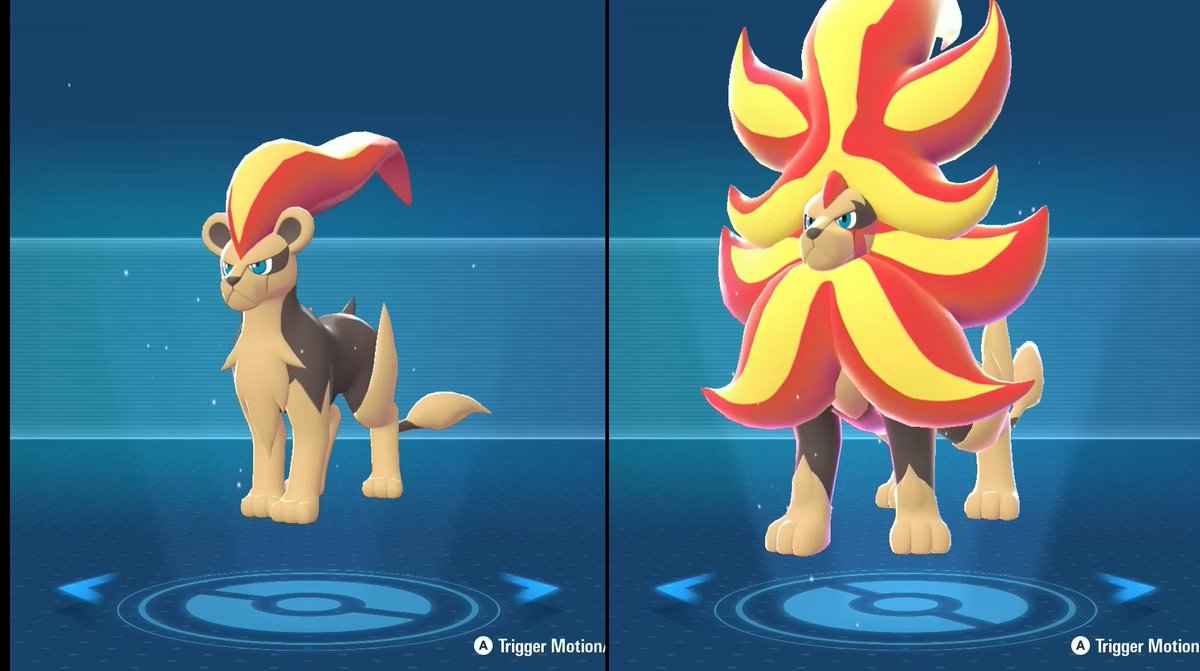 erik 🖤💛 ein Tannenzapfen tweet media