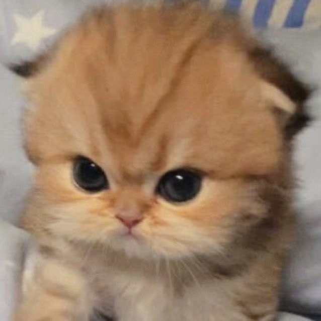 กล่องยา📦💊 tweet media