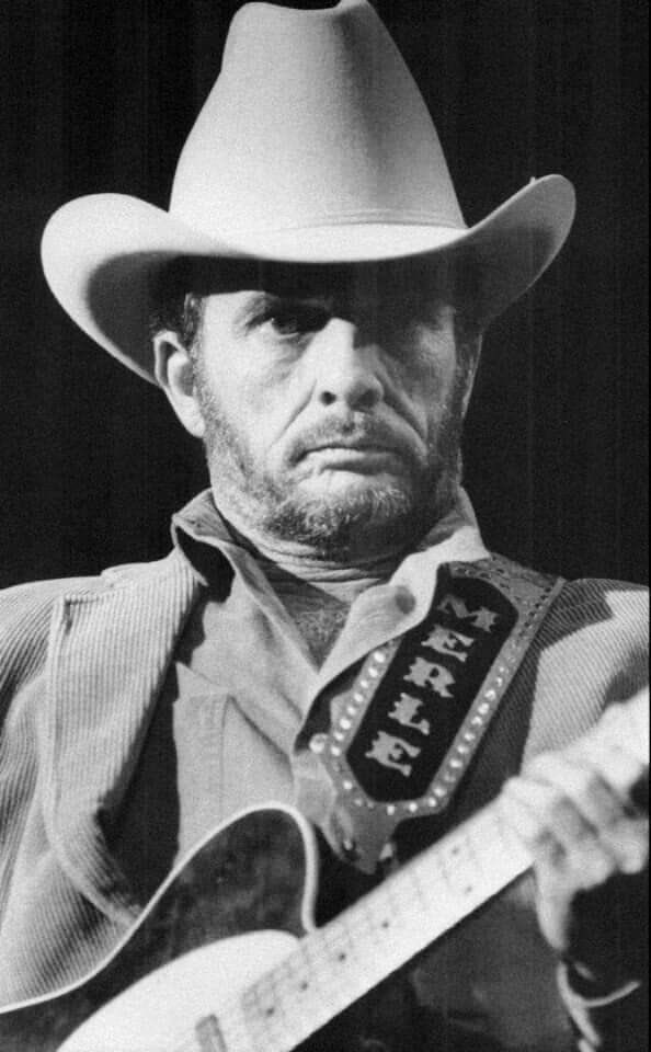 Whippoorwill 🏴‍☠️ (@covertcorsair) on Twitter photo 