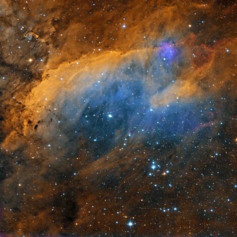 LeeAnneGibbon1's tweet photo. IC 4628 (Prawn Nebula) is a beautiful emission nebula located about 6,000 light years distant in Scorpius. Emission nebulae are diffuse gaseous clouds that have become so charged by the energy of nearby stars, that they glow with their own light. 📷 Telescope Live #IC4628 https://t.co/RjDmZAjysv