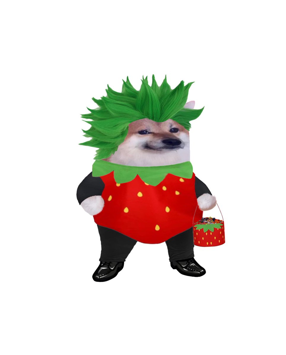 Kama_Kamilia's tweet image. Jen over at b*sky has generously provided us with a self made, strawberry themed fella for NAFOWEEN. She agreed to let it go for any donation, to any cause. But judging by her profile she’d be more than happy if the donation went to either @U24_gov_ua or @wilendhornets