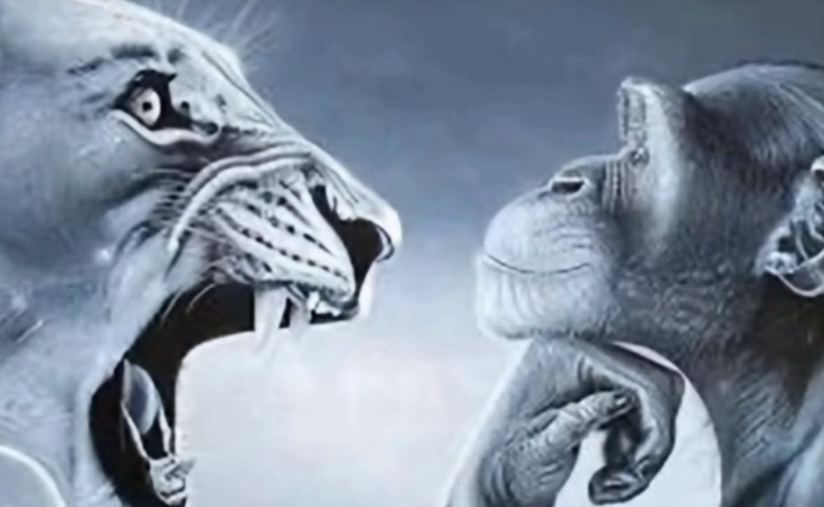 TTV LILTHICCBITTY tweet media