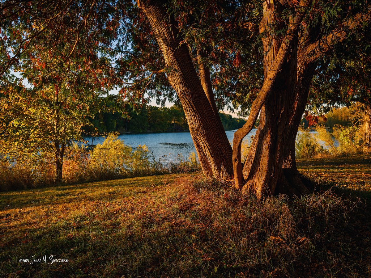 James Siatczynski (@jsiatczy) on Twitter photo Kensington Metropark, Milford, MI
<a href="/PureMichigan/">Pure Michigan</a> <a href="/MIMetroparks/">Metroparks</a> <a href="/OakGov/">Oakland County</a> <a href="/LivCoGov/">Livingston County</a>
#kensingtonmetropark Kensington Metropark, Milford, MI
<a href="/PureMichigan/">Pure Michigan</a> <a href="/MIMetroparks/">Metroparks</a> <a href="/OakGov/">Oakland County</a> <a href="/LivCoGov/">Livingston County</a>
#kensingtonmetropark