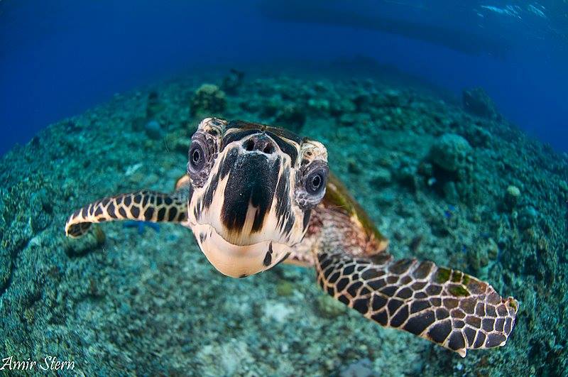 DeniseBrasse's tweet photo. @naturelife_ok https://t.co/dkrAzk6oju