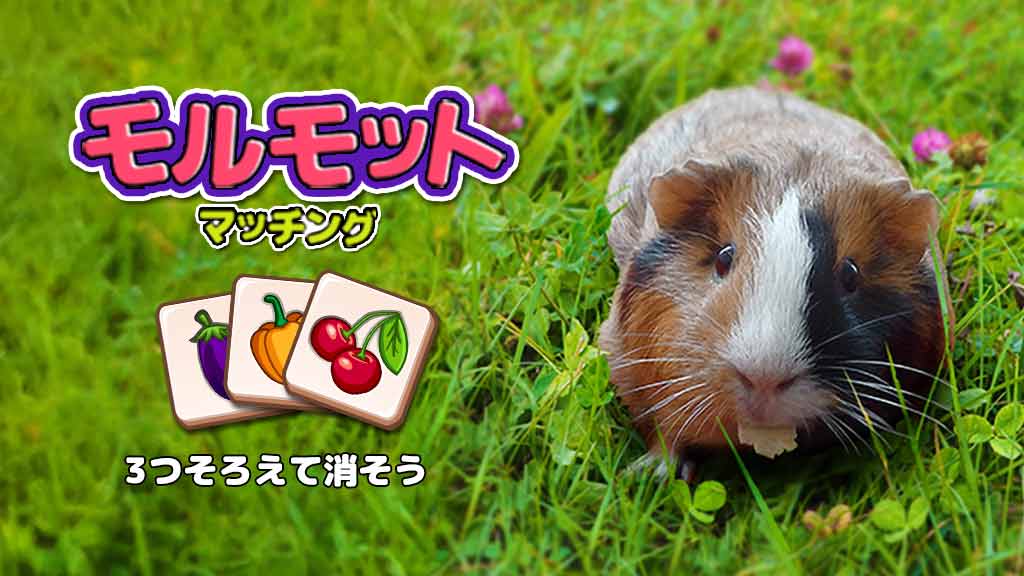 📢 新作ゲームの配信開始😆
同じタイルを3つそろえて消そう！

タイル集めパズルゲーム『モルモットマッチング』

🔽#ゲームセンターNEO で遊んでみよう！
sugotoku.docomo.ne.jp/cs/cpsite.html…

#パズル #モルモット #脳トレ #ひまつぶし #カジュアル #無料ゲーム #スゴ得 #スゴ得コンテンツ