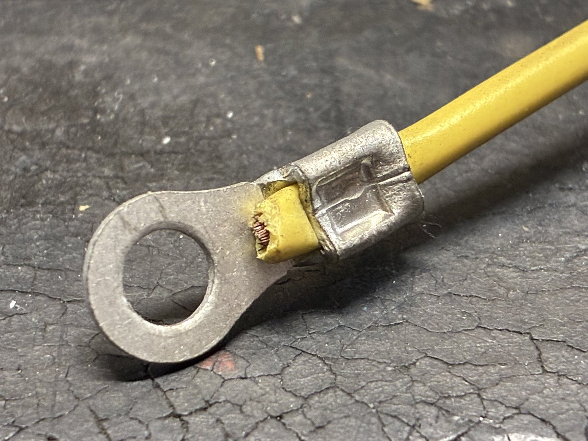 ほげくん (@YouWillSeeHoge) / Posts / X