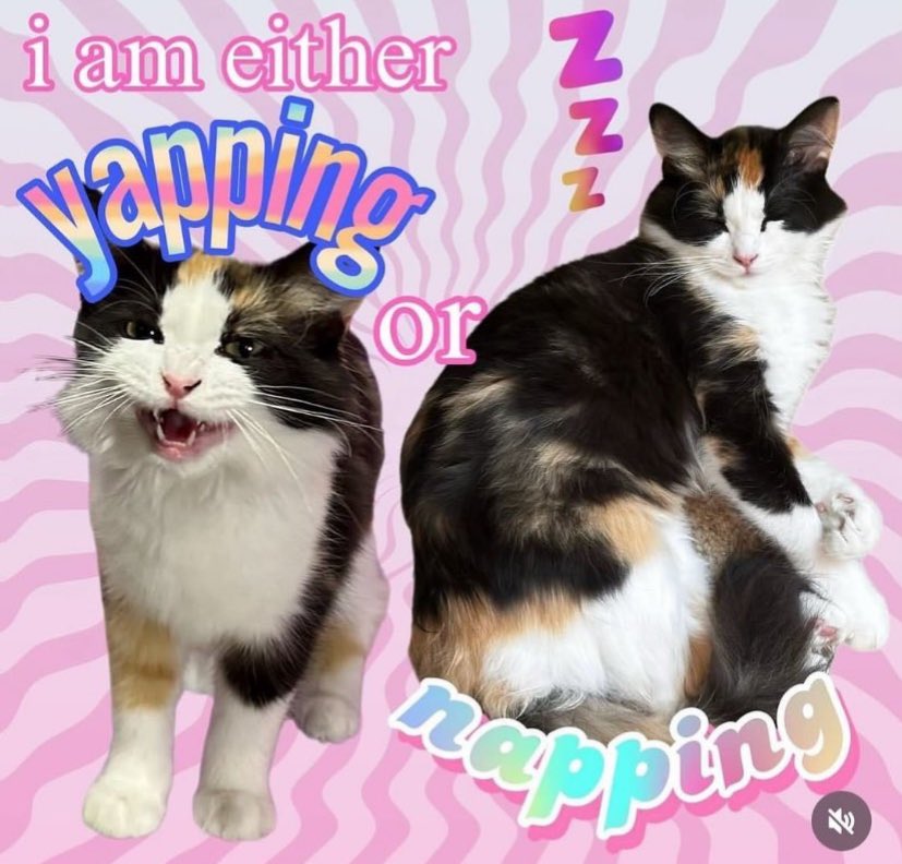 zeanvoid's tweet image. 