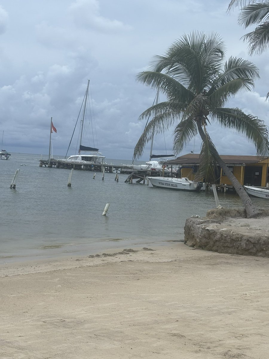 Kadijah Cash, M.Ed tweet media