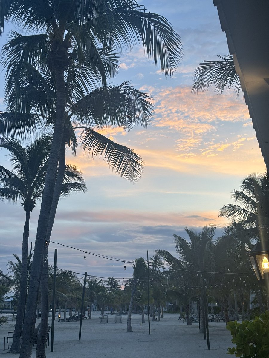 Kadijah Cash, M.Ed tweet media