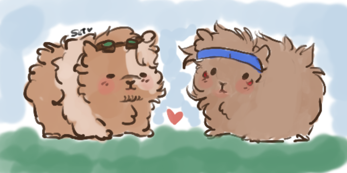 SetLuෆ tweet media