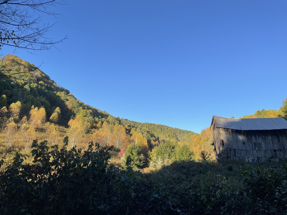 ChefBoyLD's tweet image. 