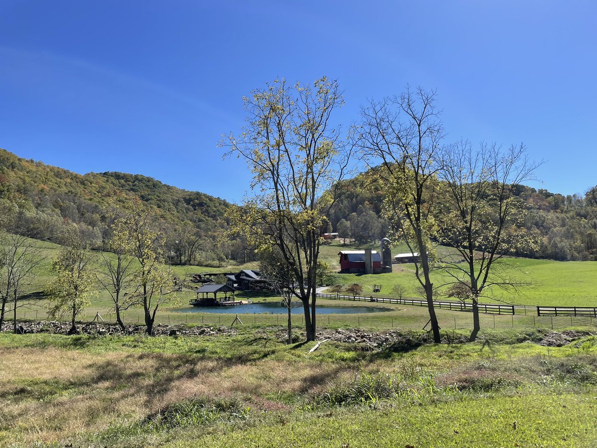 ChefBoyLD's tweet image. 