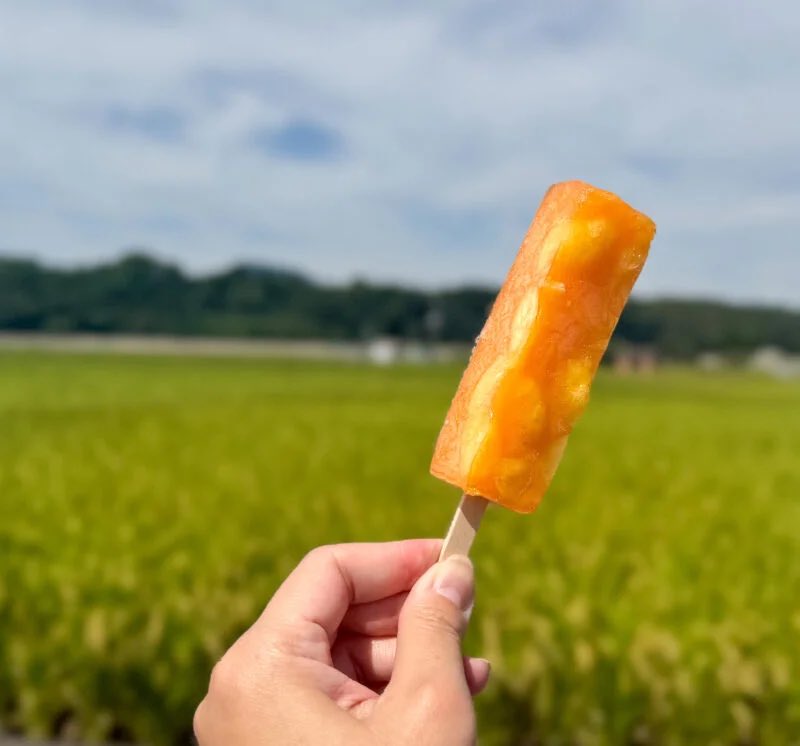 ＼こおりん堂／

店舗だけではなく移動販売もされている和菓子屋さん😊

お団子やどら焼、フルーツを使用した大福もありますよ🍊
期間限定で旬のものを使用した商品も🤭

真夏でも溶けないくずアイスバーは、フルーツたっぷりで贅沢な味わい♡

詳細は投稿記事で👇
oita-journey.com/2025/10/16/kor…
