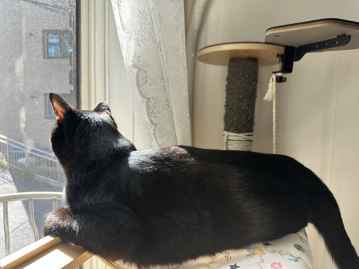 정말 오랜만에 햇빛샤워!!!!