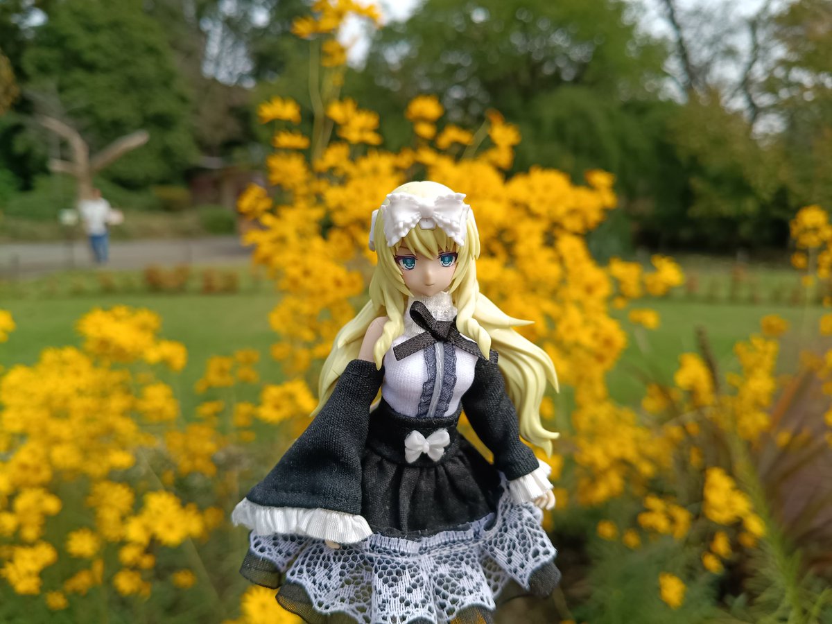 ちっぽ (@po_chippo) / Posts / X