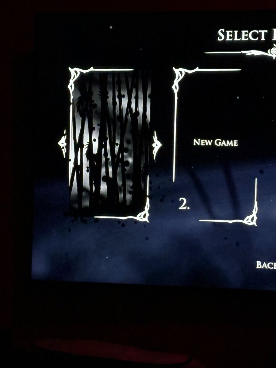 Bro WHAT is up with my save file?? Void get your ass back to hollow knight you’re not supposed to be here-