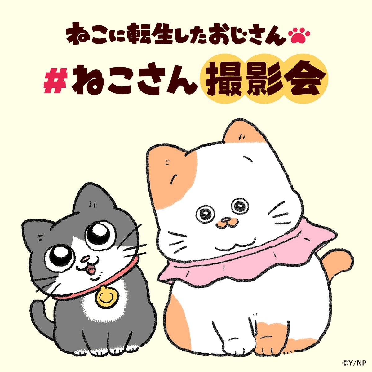 ねこおじニュース公式【TVアニメ配信中】 (@nekooji_news) / Posts / X