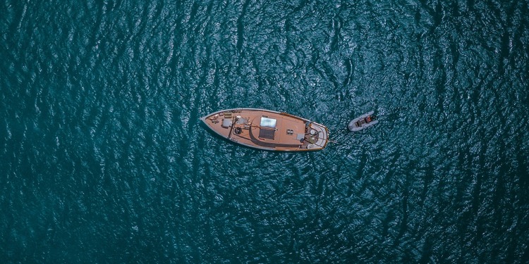 Tareq Hassan tweet media