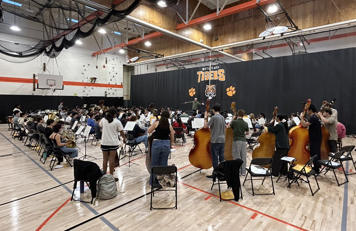 Emily Kluga tweet media