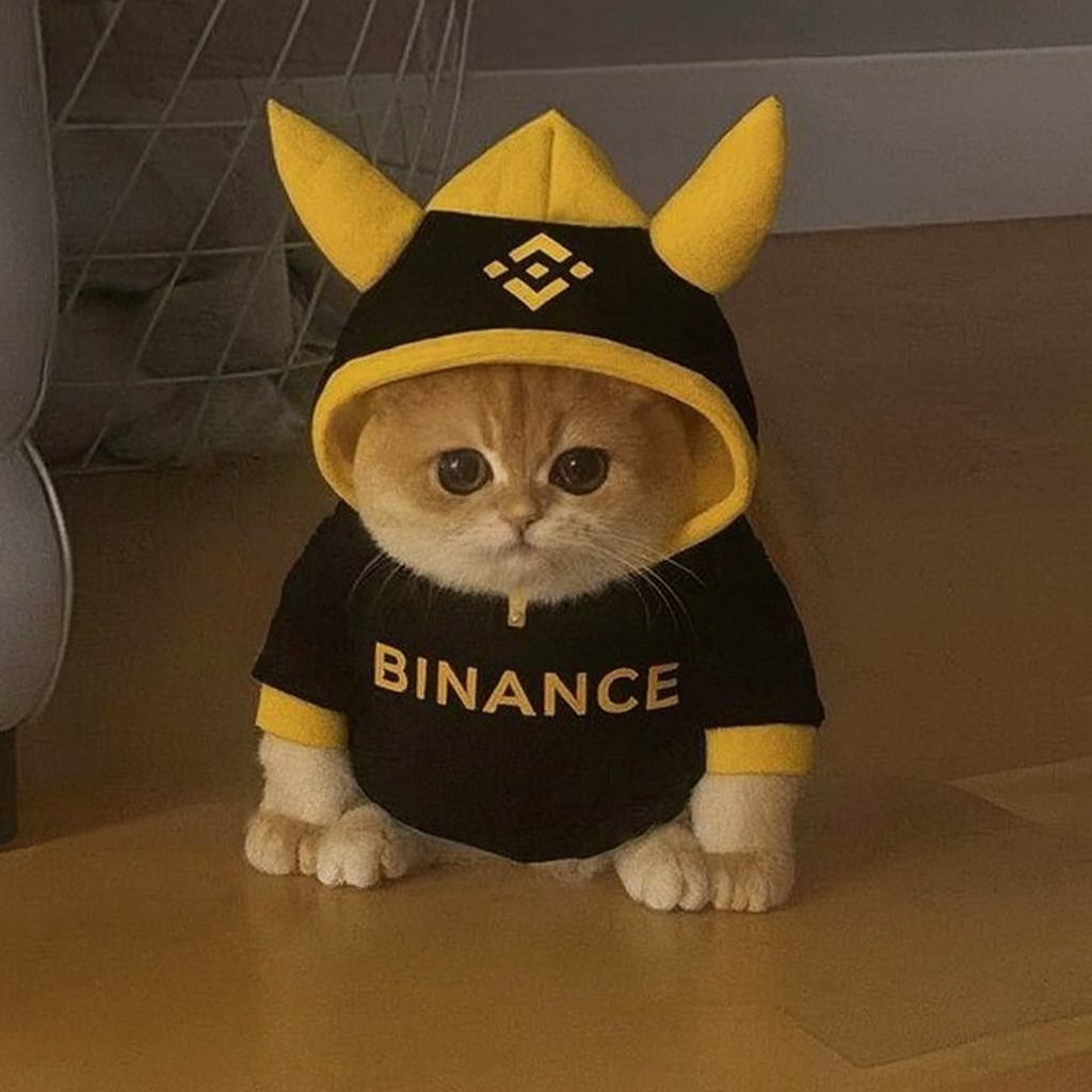 ReyCrypto101's tweet photo. 🔥 New Asian legend just dropped!

Meet $TOFU 🐸🐱 – The FrogCat
Half frog, half cat — 100% viral.

From TikTok fame to the BNB chain — cute, chaotic &amp; unstoppable.
He didn’t chase the trend… he became it.

💎 0x2587ECCe46afE23E436436d66baEAc05948b4444
#FrogCat #TofuArmy #BNB https://t.co/2eSTB64DVI