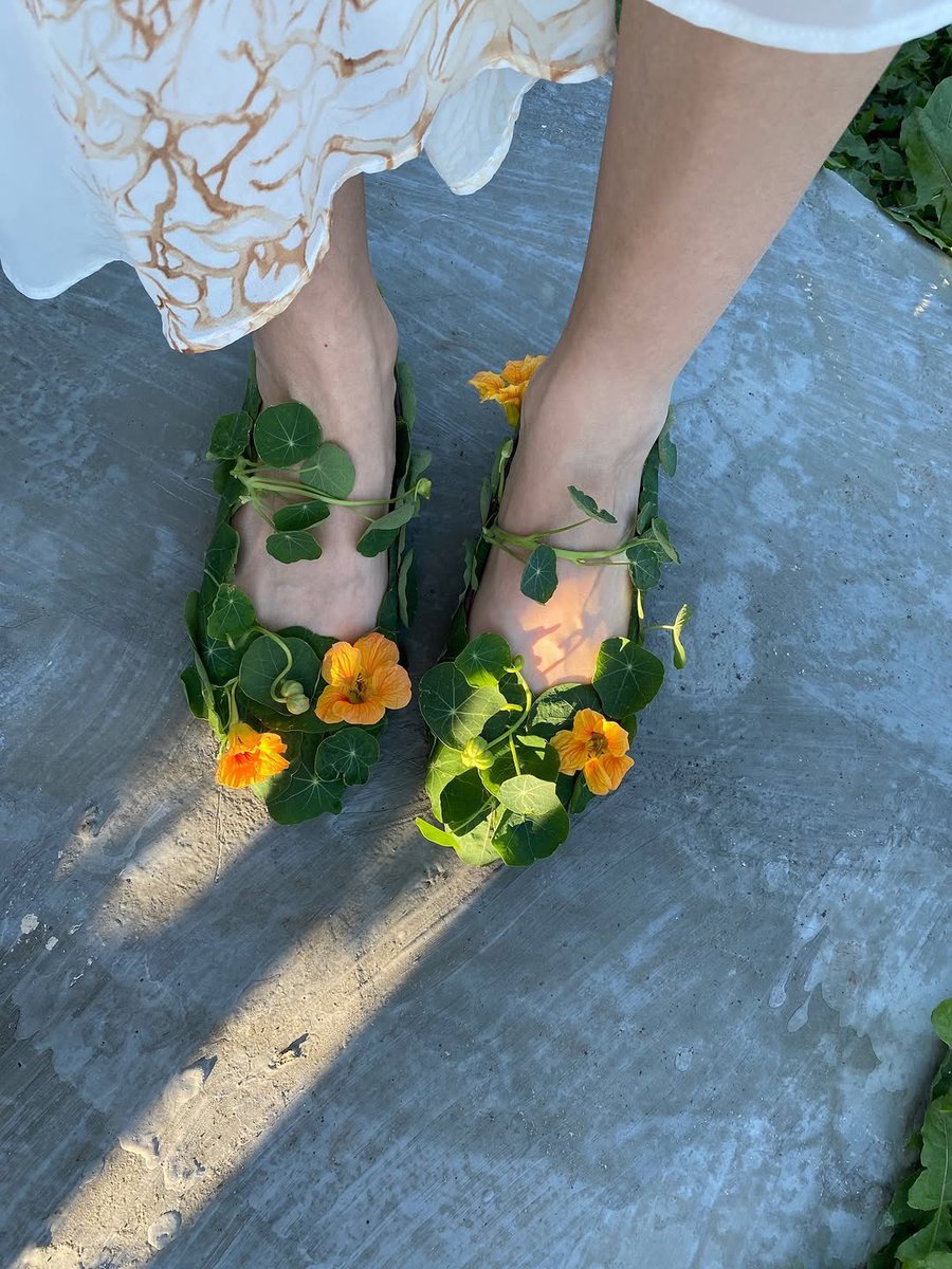 𝒩𝒾𝓁𝓈 ✨ tweet media