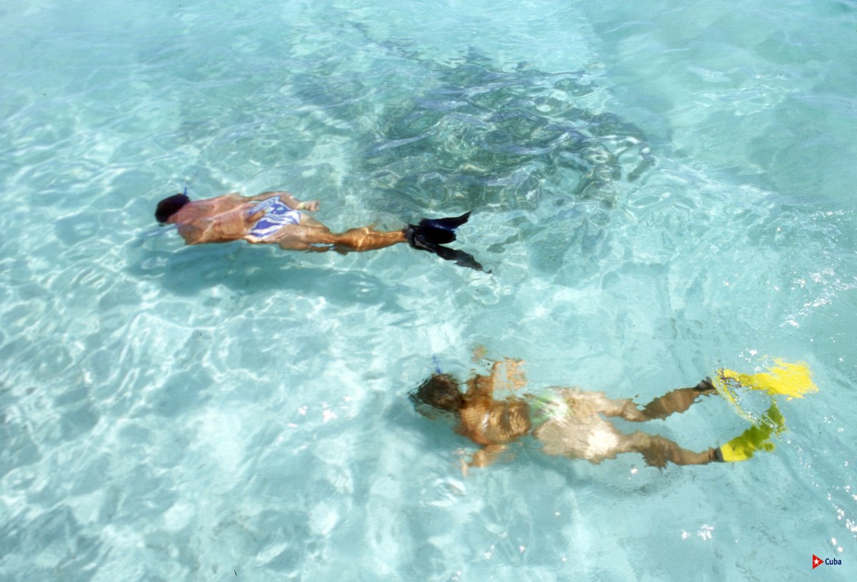 📢¡Amigos buceadores! 🤿🌴¿Listos para explorar el paraíso cubano? Aguas transparentes, vida marina increíble y momentos inolvidables. ¡Compartan sus fotos de buceo en Cuba! 🤿☀️

#Cuba #CubaUnica #CubaTravel