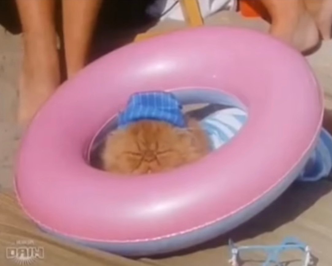 Giuliano in the italian Ai Shite Knight live action series