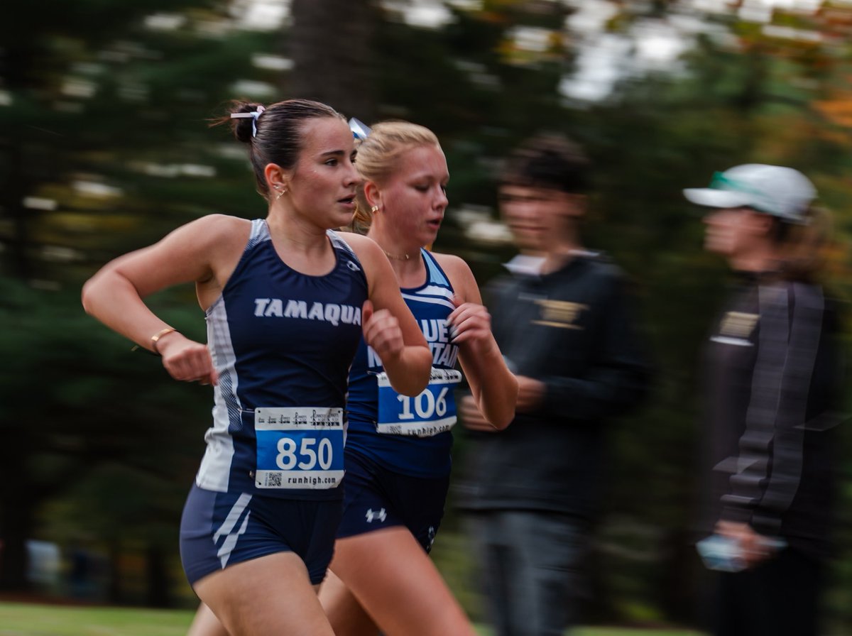 Matthew Perschall tweet media