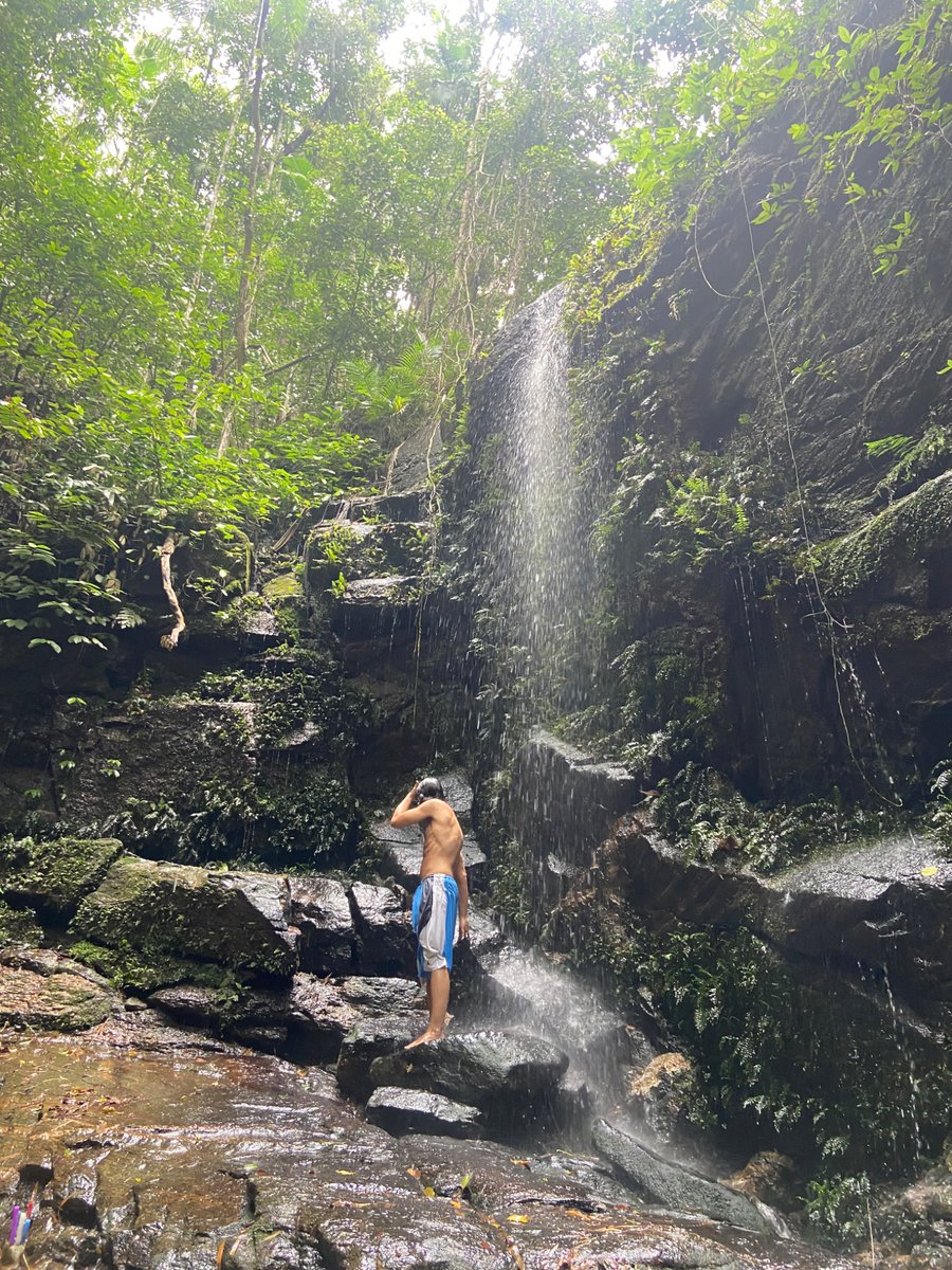 LetterZe's tweet image. apaixonadas