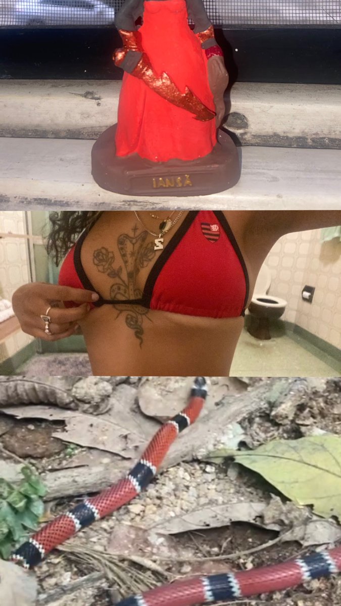 LetterZe's tweet image. cheirosa carioca agradecer