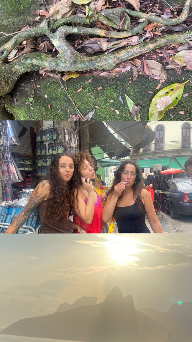 LetterZe's tweet image. cheirosa carioca agradecer