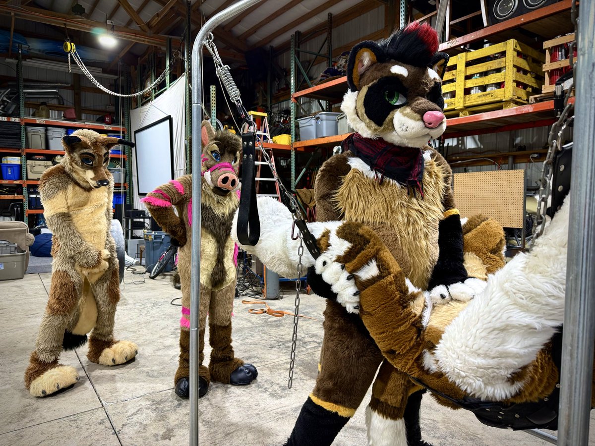 Had a fun weekend with <a href="/suchadirtywolf/">Thick-Boned Wolf</a> <a href="/SunDownShep/">Sako</a> <a href="/BadDeerDamian/">ADamian 🔜 MFF</a>