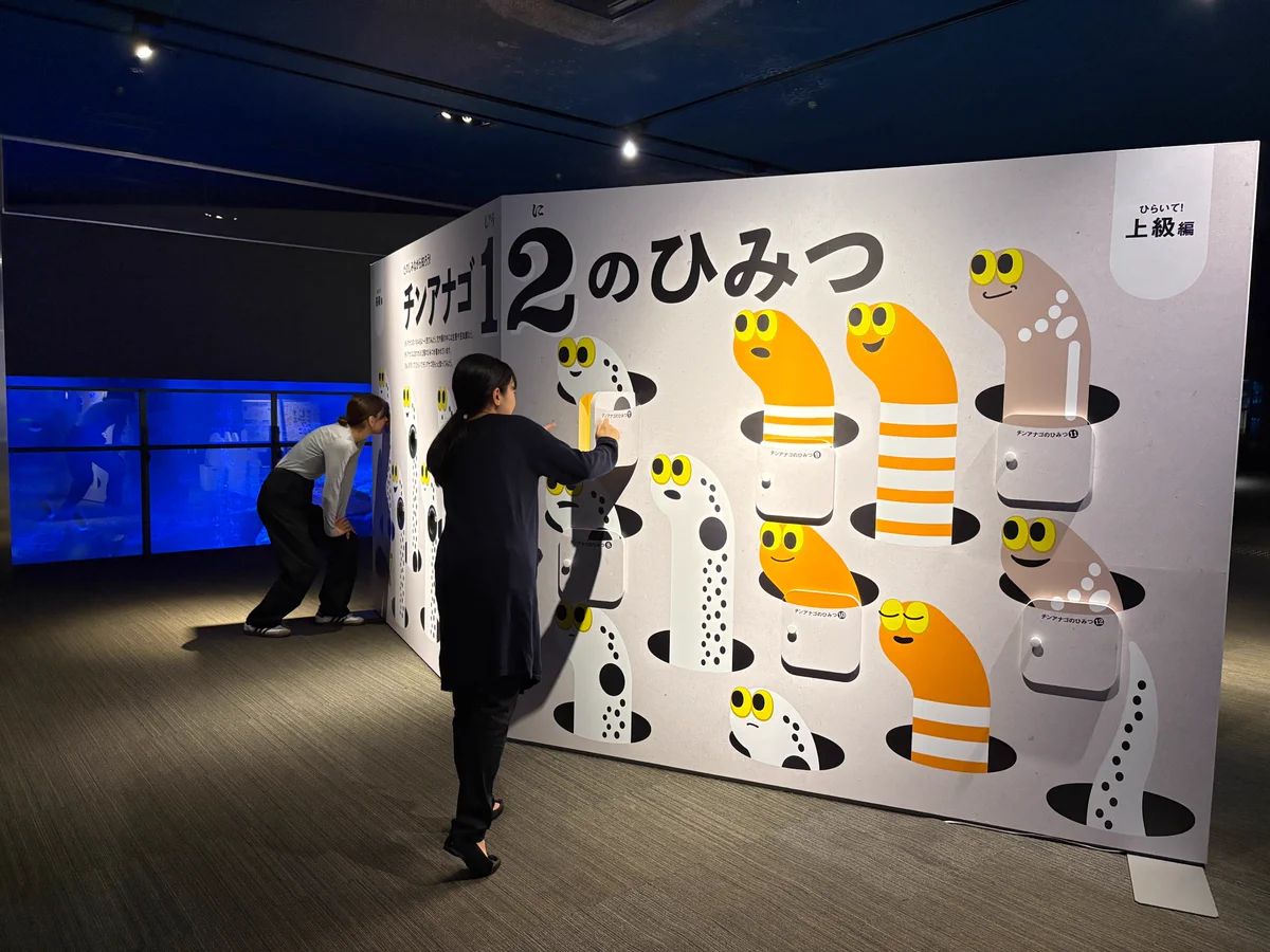 すみだ水族館【公式】 on X: 