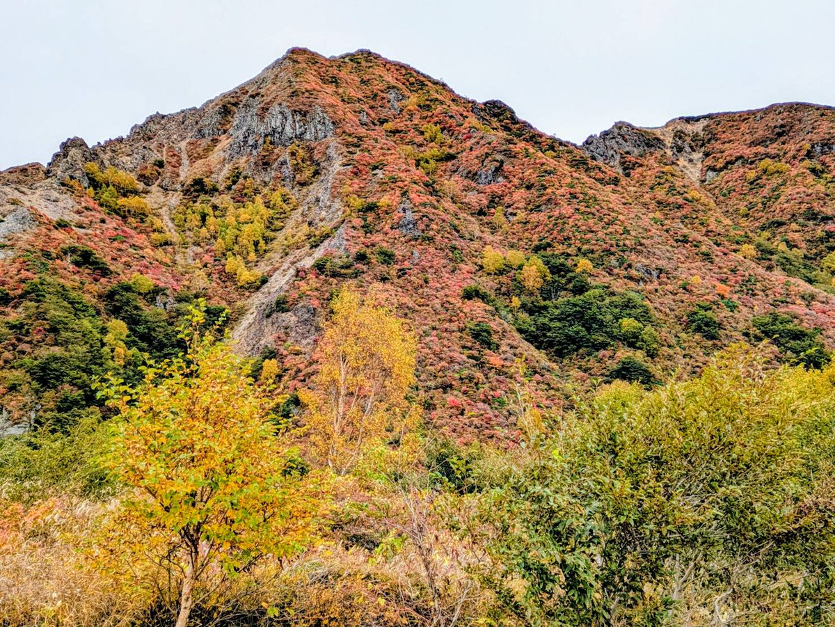 hardluck555's tweet photo. 朝日岳に行ってきました
紅葉キレイだったなぁ
リフレッシュしたけど身体中ガタガタ
もう少し鍛えなきゃ https://t.co/yIFK2h9i5t