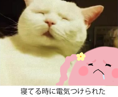aankoanko's tweet photo. 寝てる時電気つけられた猫とうにゅ
#花騎士　#フラワーナイトガール https://t.co/OXGv6jkbmY