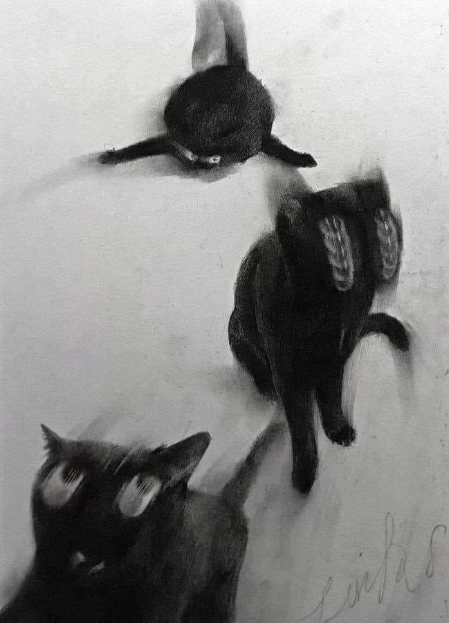 Chuck (@800870v3r) on Twitter photo 