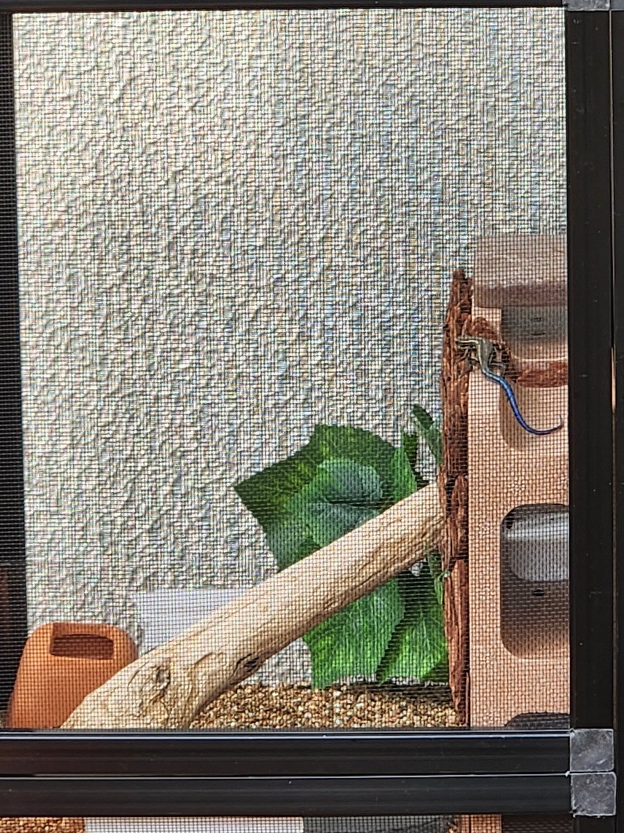 レイアウトを思った通りに使ってくれるとうれしい