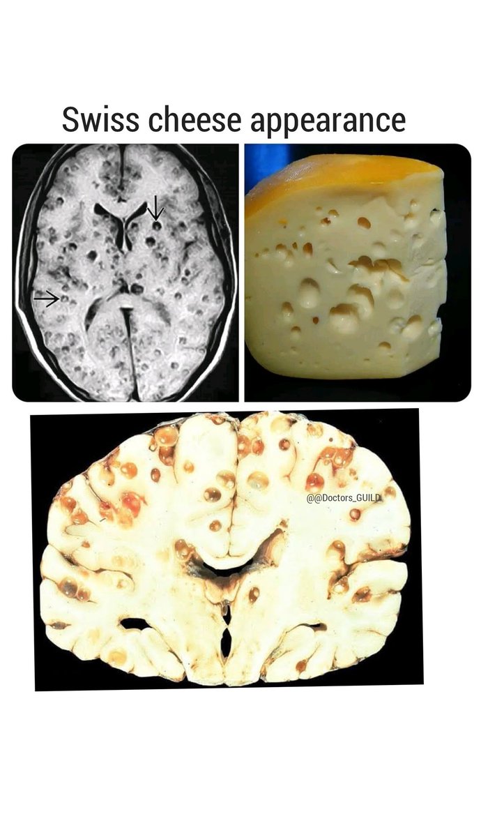 MEDICINE MADNESS tweet media