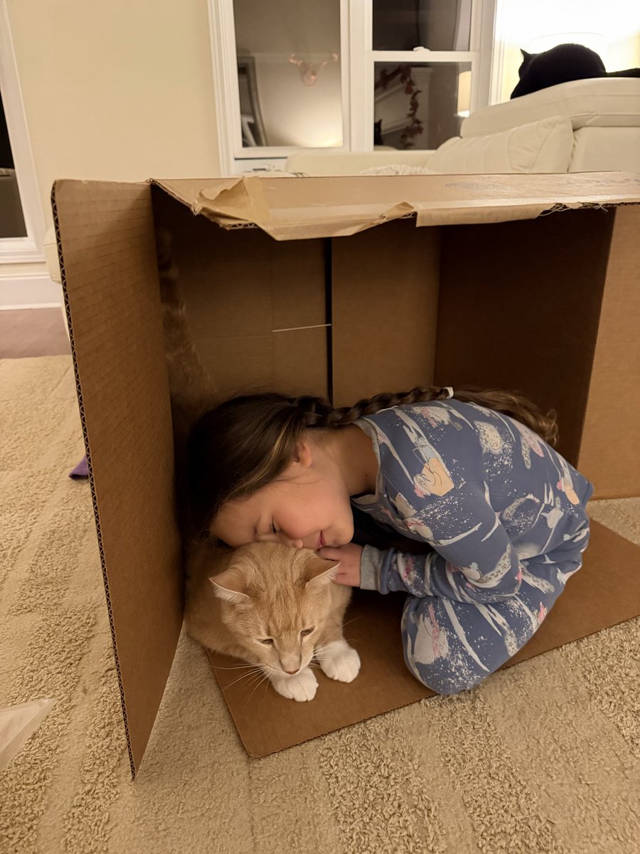 うめちゃん🇯🇵🇺🇸 (@kikilunanoah) / Posts / X