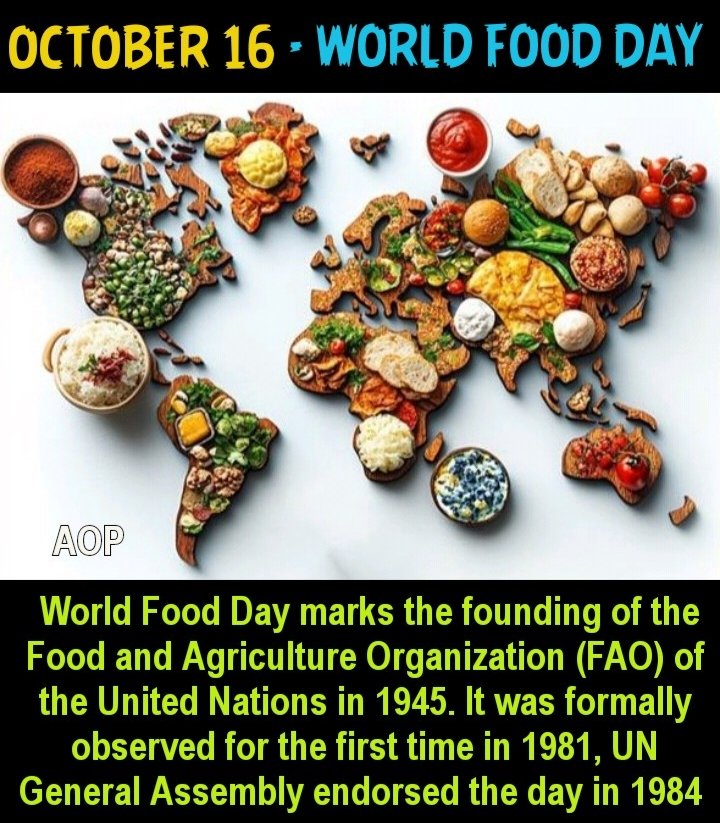 omprakash678's tweet image. Ingredients for a healthy lifestyle:-

🩺Eat homemade nutrient-dense food

🩺Stay hydrated

🩺Exercise every day

🩺30 mins of walks 

🩺Sleep properly

🩺Avoid junk and processed food

Simple yet hard to do for most people