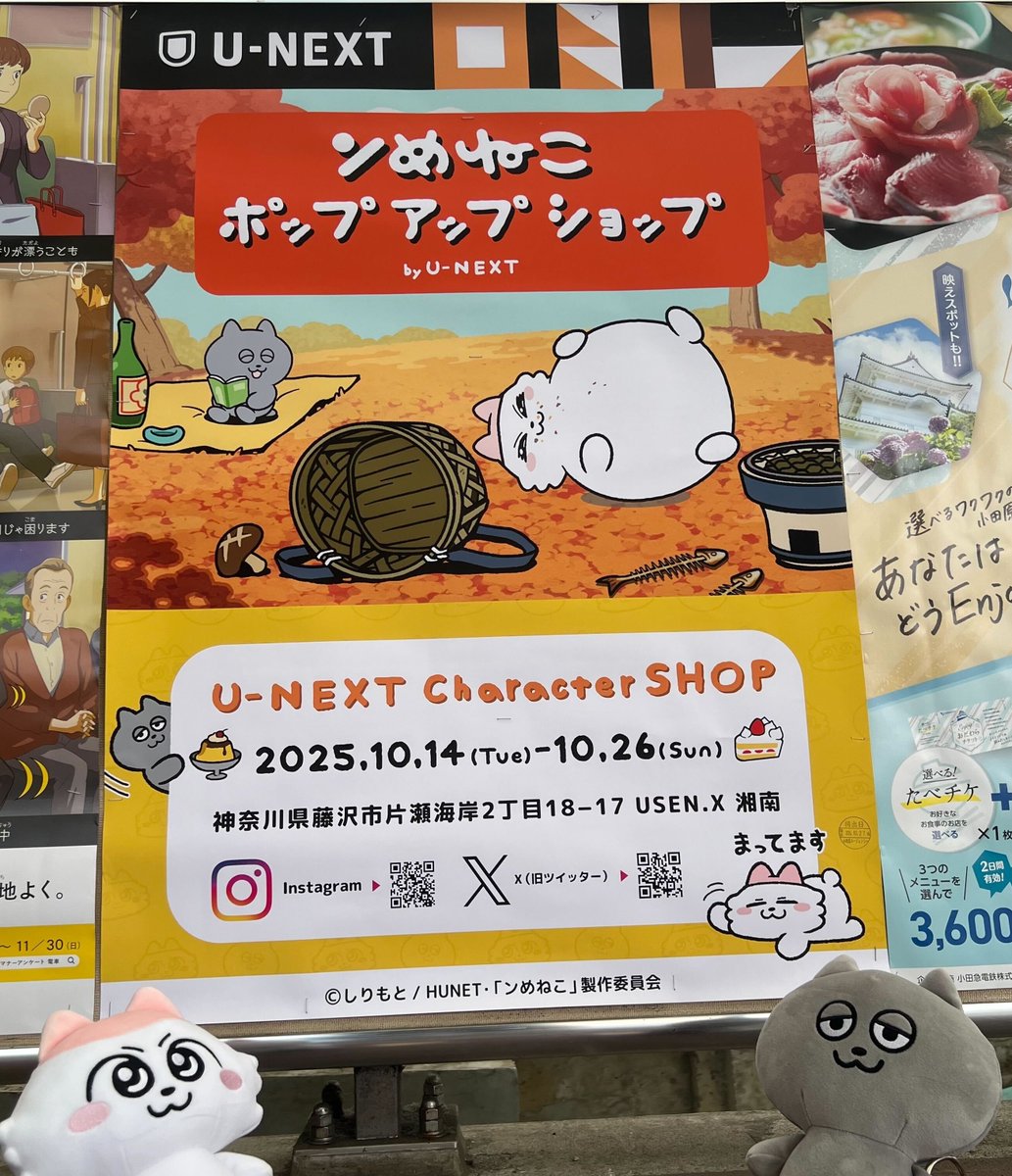 unextgoodsshop's tweet image. ンめねこポップアップショップの開催を記念し、イベントポスターが以下駅構内に掲示されています📝
見つけてくれたら嬉しいです・・・✨

ぬいぐるみ持って撮りに来てね📸

◆駅広告掲載場所◆
①小田急線：片瀬江ノ島駅
②江ノ島電鉄：江ノ島駅
③江ノ島電鉄：湘南海岸公園

#江の島 #江ノ島…