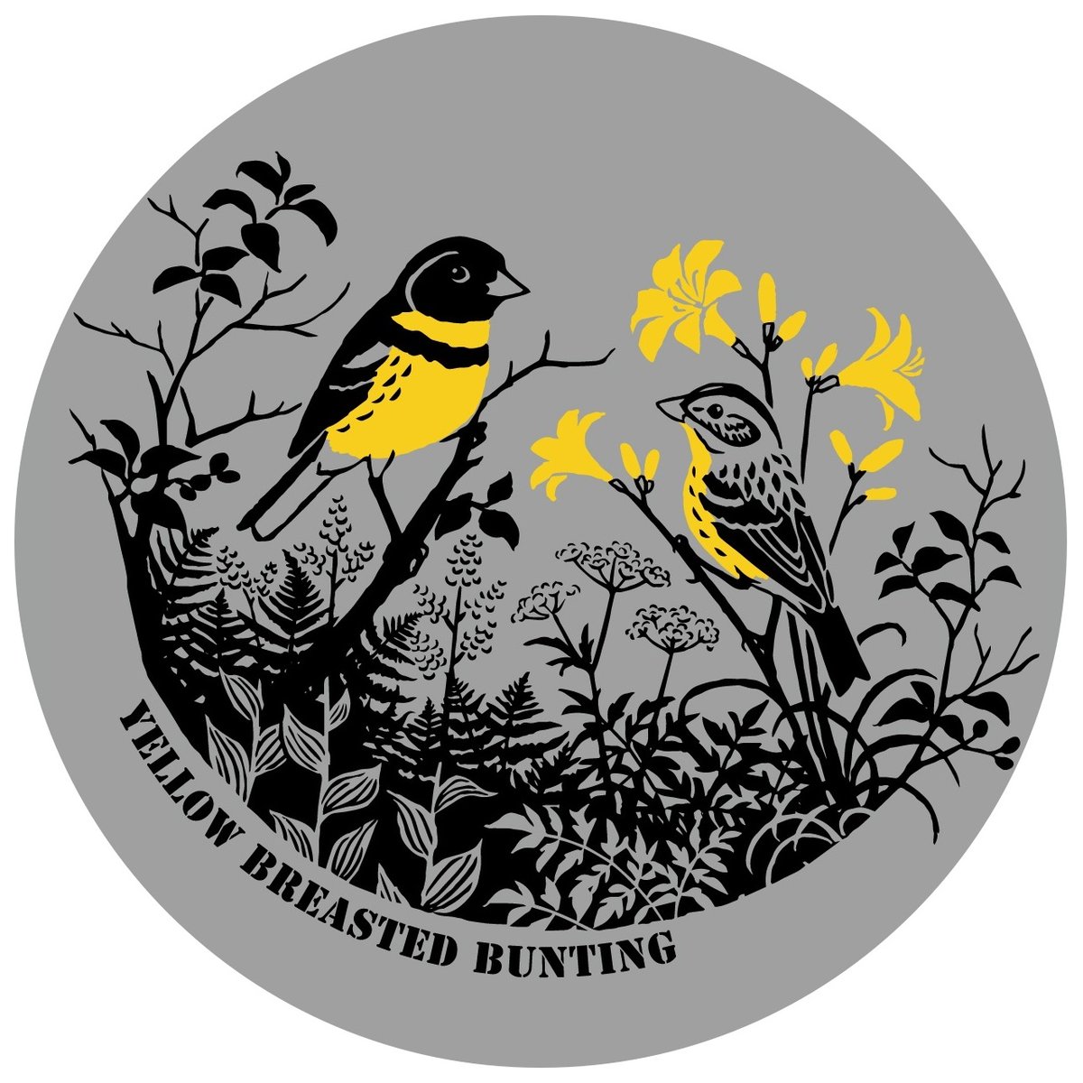 シマアオジのいる景色を北海道に取り戻すクラウドファンディングの「モンベル製 高機能シマアオジTシャツ」コースのシャツは、モンベルの高機能素材「ウイックロン」を使用。デザインはいきものパレット。長く使っていただける良いものをご用意しました。応援、お願いします！
readyfor.jp/projects/aureo…