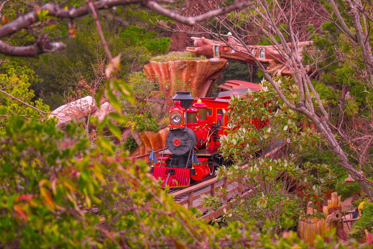 リバ鉄撮るの結構好き