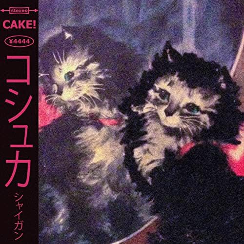 lulamoon🐾 tweet media