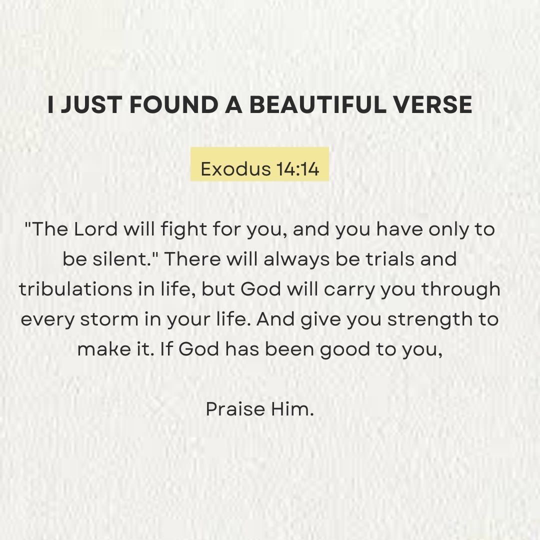 Holy Bible tweet media