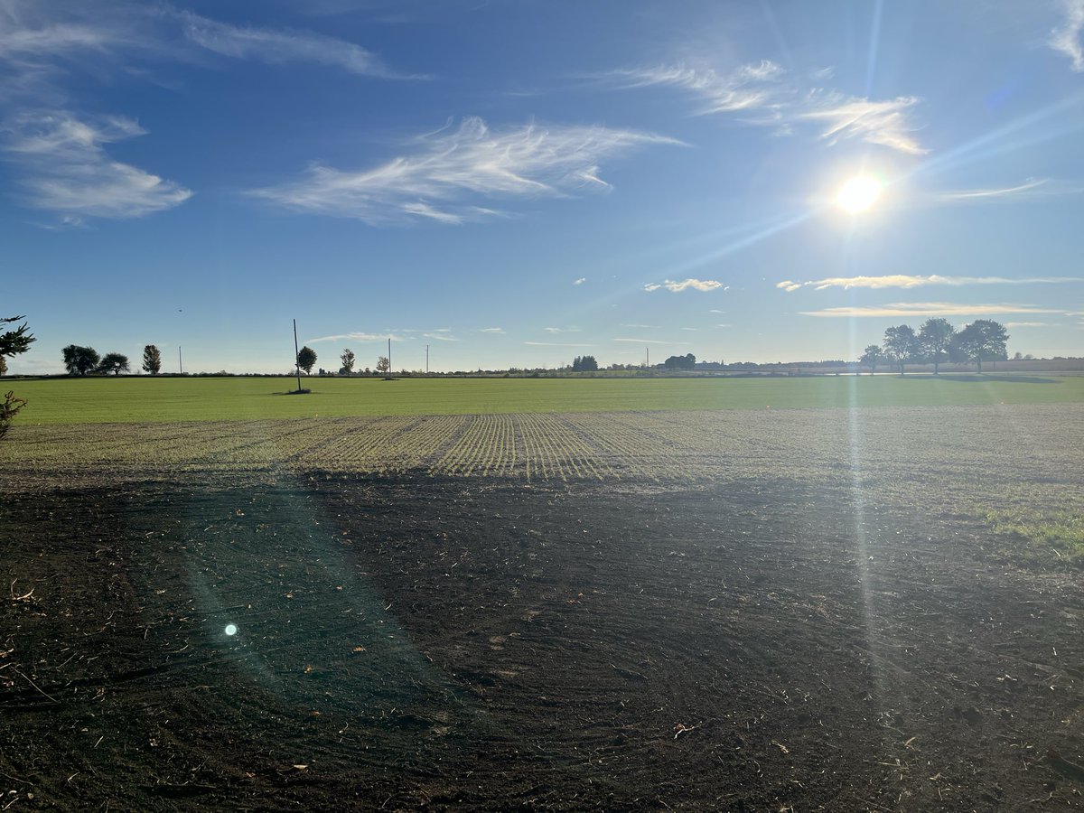 James Ferrier tweet media