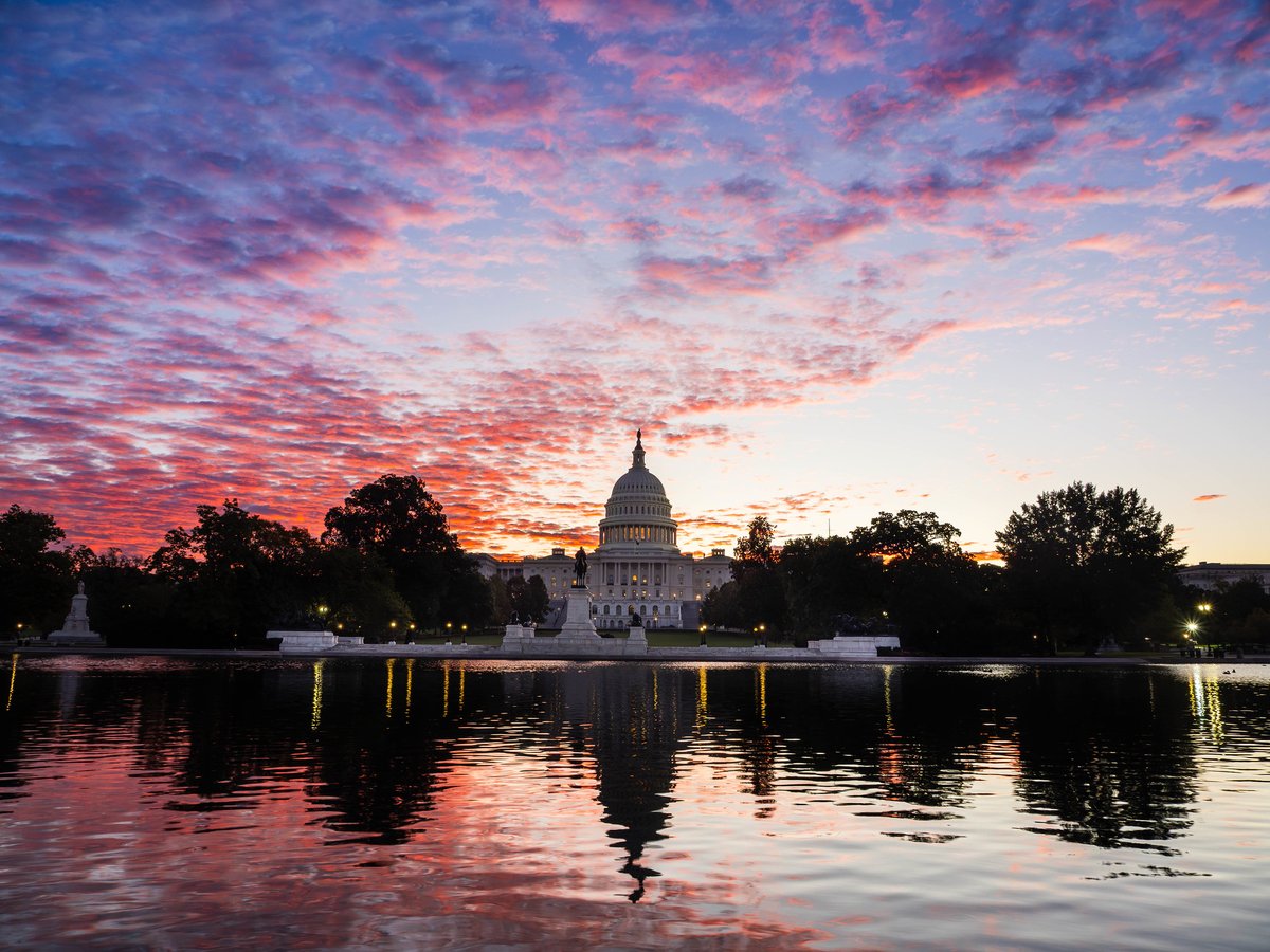 capitalweather's tweet image. 🍂 A classic but crisp fall day! Sunshine, low humidity and highs in the low 60s — just a bit breezy at times. A chilly night ahead with a touch of frost possible outside D.C.
👉 Full forecast: cwg.live

Photo by Ian Will